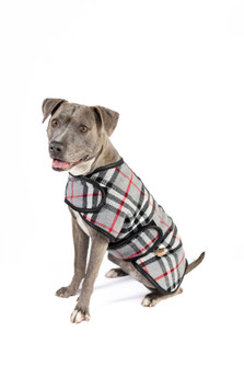 Chilly Dog Steel Tartan Wool Dog Blanket Coat