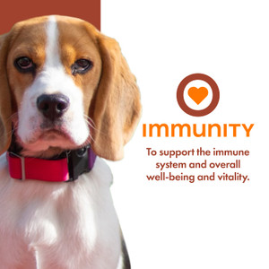 Fromm Nutritionals Immunity Dog Food Supplement Pâté