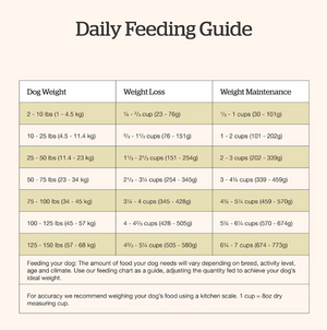 Now Fresh Good Gravy Beef Coated in Bone Broth for Dogs
