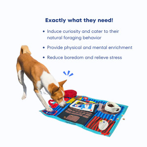 Patchwork Pet Work From Home Playmat
