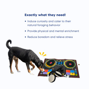 Patchwork Pet DJ Party Time Playmat