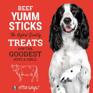 Etta Says Yumm Stick Beef
