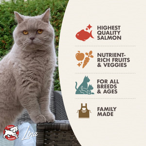 Fromm Four-Star Salmon Tunachovy Recipe Dry Cat Food