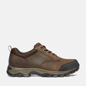 Timberland Men's Mt. Maddsen Low Waterproof Hiking Boot - Brown