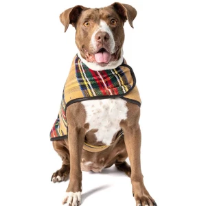 Chilly Dog Tan Tartan Plaid Blanket Dog Coat