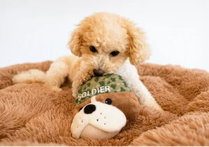 Steel Dog Ruffian Hero Soldier Toy