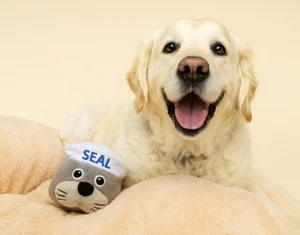 Steel Dog Ruffian Hero Seal Toy