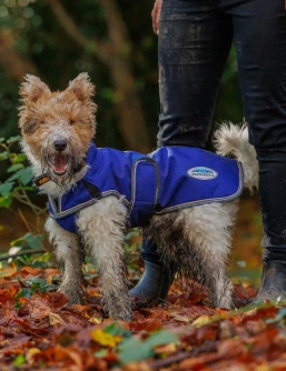 Weatherbeeta ComFiTec Premier Free Parka Deluxe Dog Coat - Blue