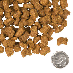 Fromm Four-Star Lamb & Lentil Dry Dog Food