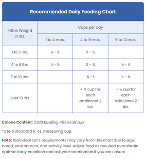 Blue Buffalo Wilderness Chicken Recipe Kitten Dry Cat Food