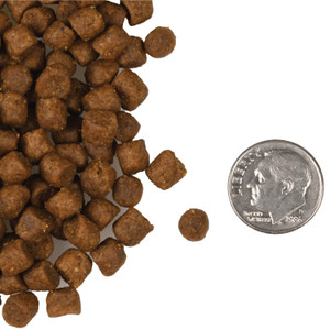 Fromm Four-Star Surf & Turf Dry Cat Food