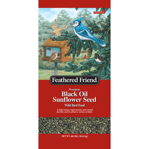 Black Oil Sunflower Seed Wild Bird Food 40lb
