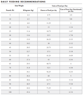 Fromm Four-Star Shredded Beef & Veg Canned Dog Food