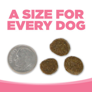 NutriSource PureVita Salmon & Peas Grain Free Dry Dog Food