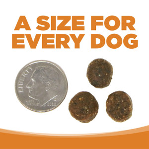 NutriSource Lamb Meal & Peas Recipe Grain Free Dry Dog Food