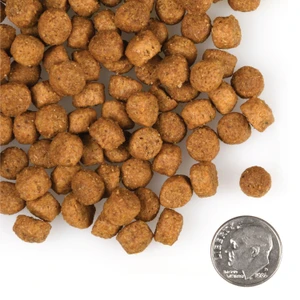 Fromm Gold Large Breed Puppy Dry Dog Food