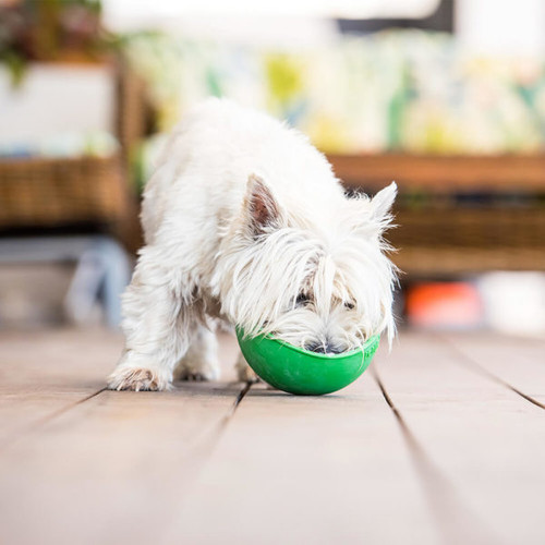 LickiMat Wobble Dog Slow Feeder Bowl, Green