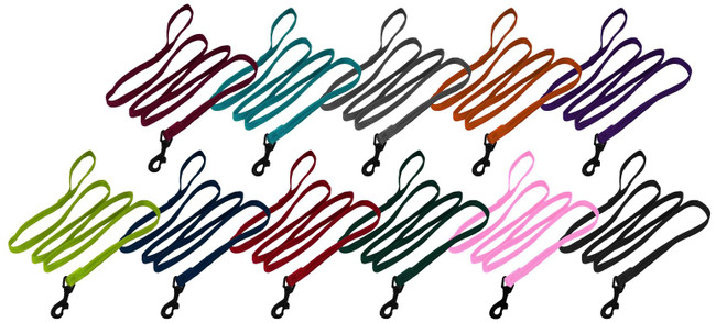 Dogline Nylon Flat Leash 4ft 5/8"