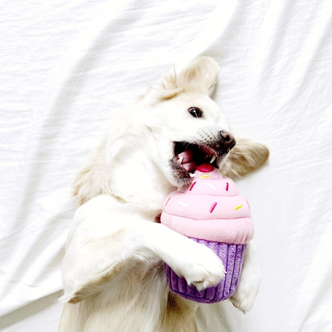 Pink Cupcake Dog Toy