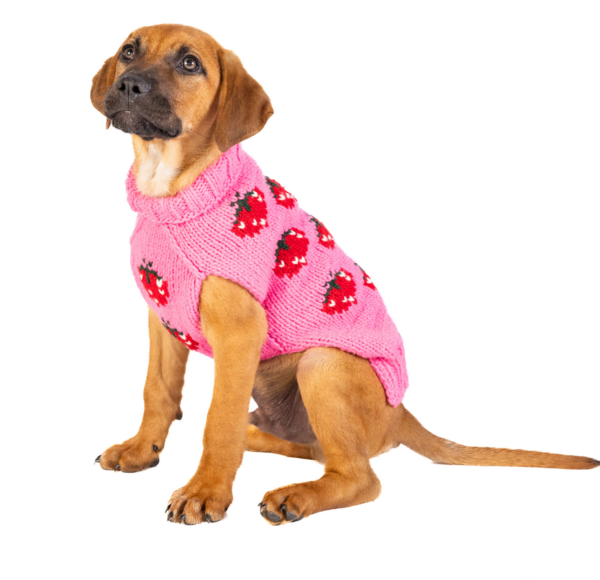 Chilly Dog Strawberry Dog Sweater