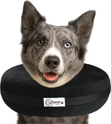 Comfurt Recovery Collar Black Large