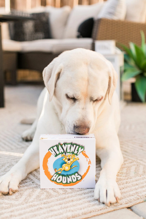 Heavenly Hounds Peanut Butter Relaxation Square