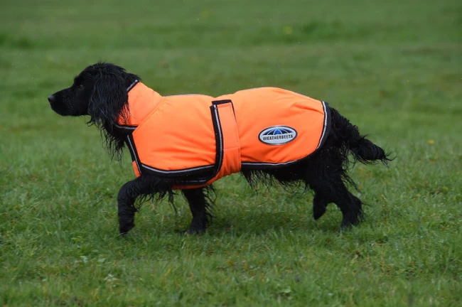 Weatherbeeta ComFiTec Reflective Parka 300D Deluxe Dog Coat - Orange