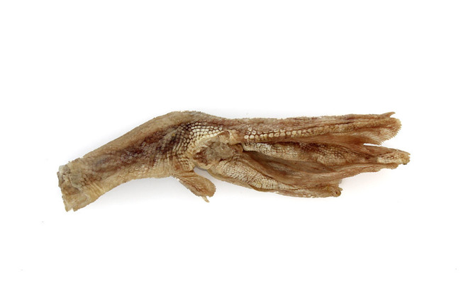 Vital Essentials Freeze-Dried Duck Feet Dog Treat