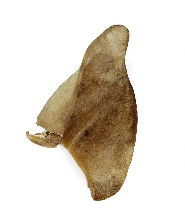 Vital Essentials Freeze-Dried Pig Ear Dog Treats