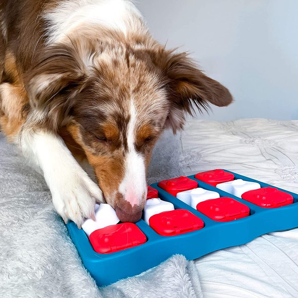 Outward Hound Dog Puzzle Twister, Level 3