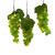 Kurt Adler 100-Light Green Grape Cluster LED Light Set