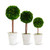 K & K Interiors Preserved Boxwood Ball Topiaries in White Set of 3- D:7.5" H:20.5"