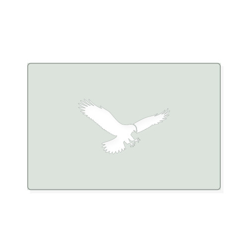 Hawk 3 Reusable Mylar Stencil, 10 mil Plastic Paint Stencil for Crafts and Decor