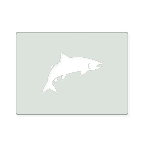 Salmon Reusable Mylar Stencil, 10 mil Plastic Paint Stencil for Crafts and Decor