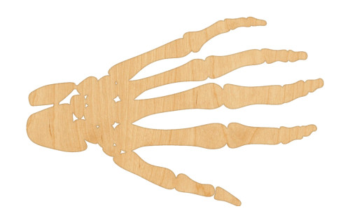 Unfinished Skeleton Hand Wood Cutout for Door Hangers, Seasonal Decor and Paint Parties, Baltic Birch Craft Blank