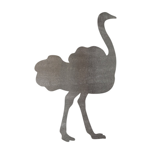 Ostrich Steel Cutout Shape - Raw Metal Wall Art and Craft Supply