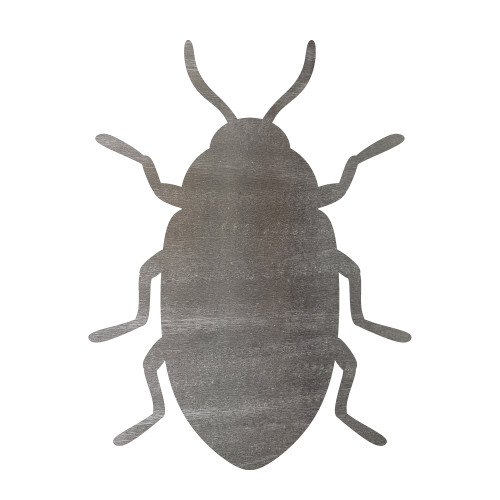 Beetle Steel Cutout Shape - Raw Metal Wall Art and Craft Supply