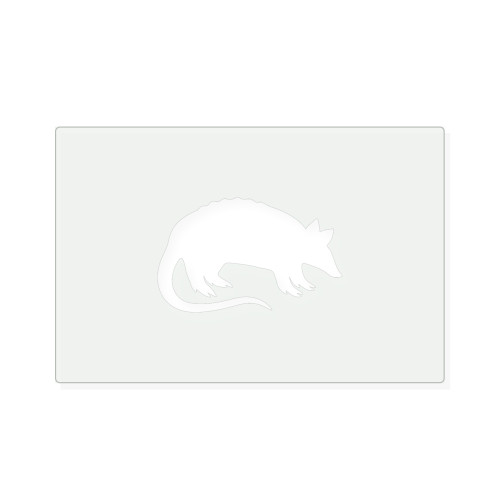 Armadillo Reusable Mylar Stencil, 10 mil Plastic Paint Stencil for Crafts and Decor