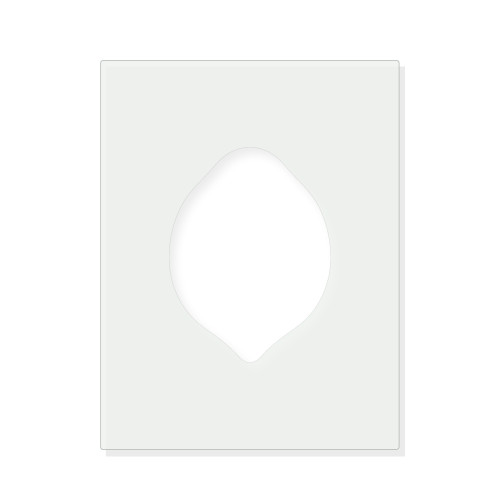 Lemon Reusable Mylar Stencil - 10 mil Paint and Craft Stencil