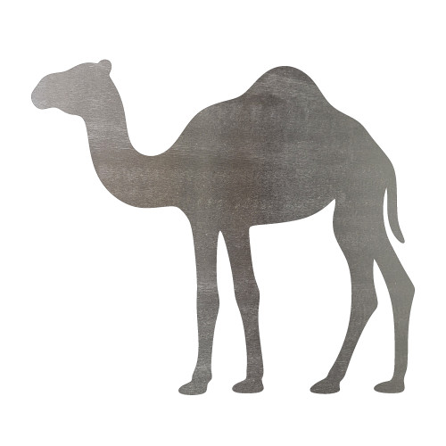 Camel 2 Steel Cutout Shape, Raw Metal Wall Art and Craft Supply
