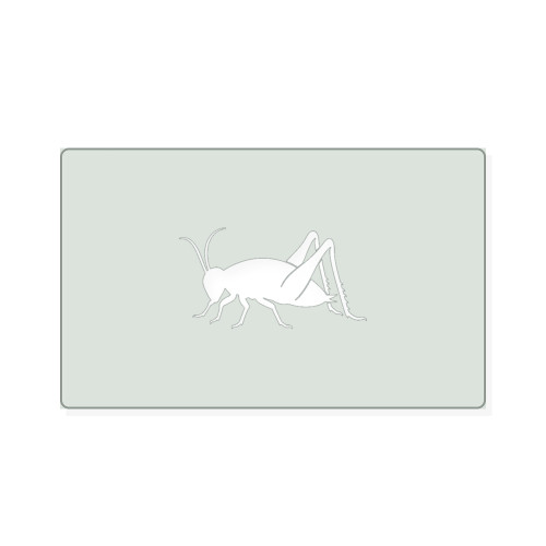 Cricket Reusable Mylar Stencil, 10 mil Plastic Paint Stencil for Crafts and Decor