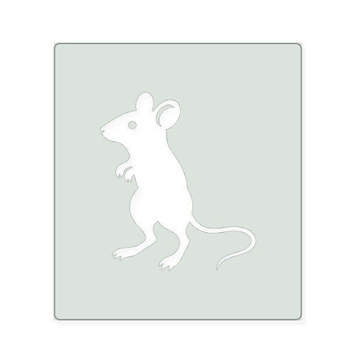 Desert Mouse Reusable Mylar Stencil, 10 mil Plastic Paint Stencil for Crafts and Decor