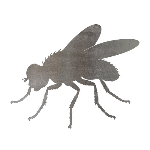 Fly Steel Cutout Shape, Raw Metal Wall Art and Craft Supply