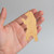 Grizzly Bear 1 Wood Cutout for Crafts, Unfinished Baltic Birch Craft Shape