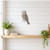 Kookaburra Steel Cutout Shape, Raw Metal Wall Art and Craft Supply