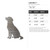 Labrador 1 Steel Cutout Shape, Raw Metal Wall Art and Craft Supply