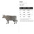 Cow 3 Steel Cutout Shape, Raw Metal Wall Art and Craft Supply