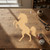Horse 1 Wood Cutout for Crafts, Unfinished Baltic Birch Craft Shape