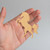 Horse 1 Wood Cutout for Crafts, Unfinished Baltic Birch Craft Shape