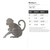Monkey 2 Steel Cutout Shape, Raw Metal Wall Art and Craft Supply